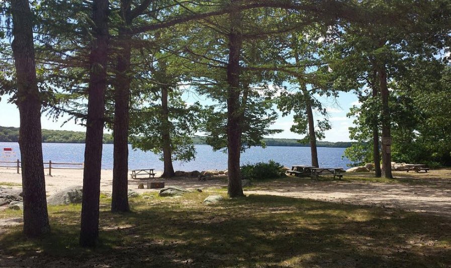 Burlingame State Park, Rhode Island, USA
